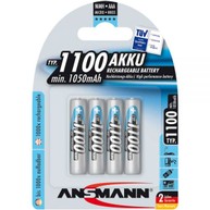 1001 BAT012
