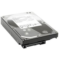 HGST FES030